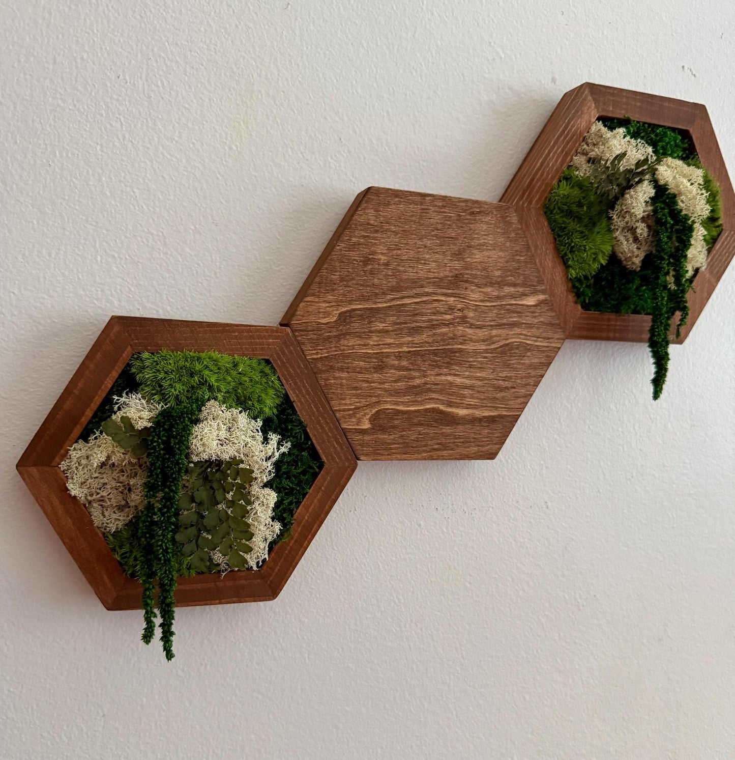 Honeycomb Moss Wall Art: Reindeer Moss & Wood Hexagon Panel | USA - TARIFF FREE