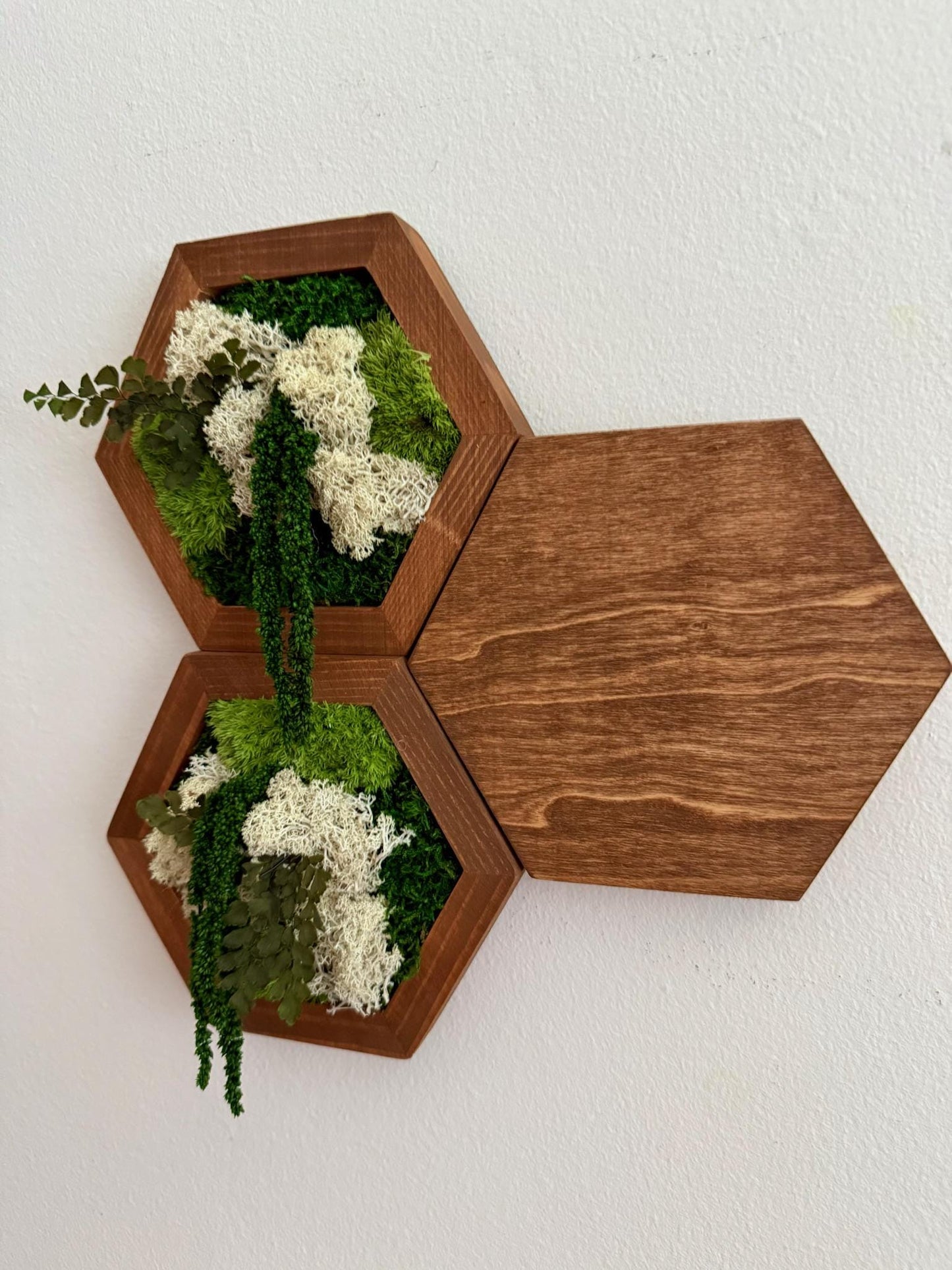 Honeycomb Moss Wall Art: Reindeer Moss & Wood Hexagon Panel | USA - TARIFF FREE