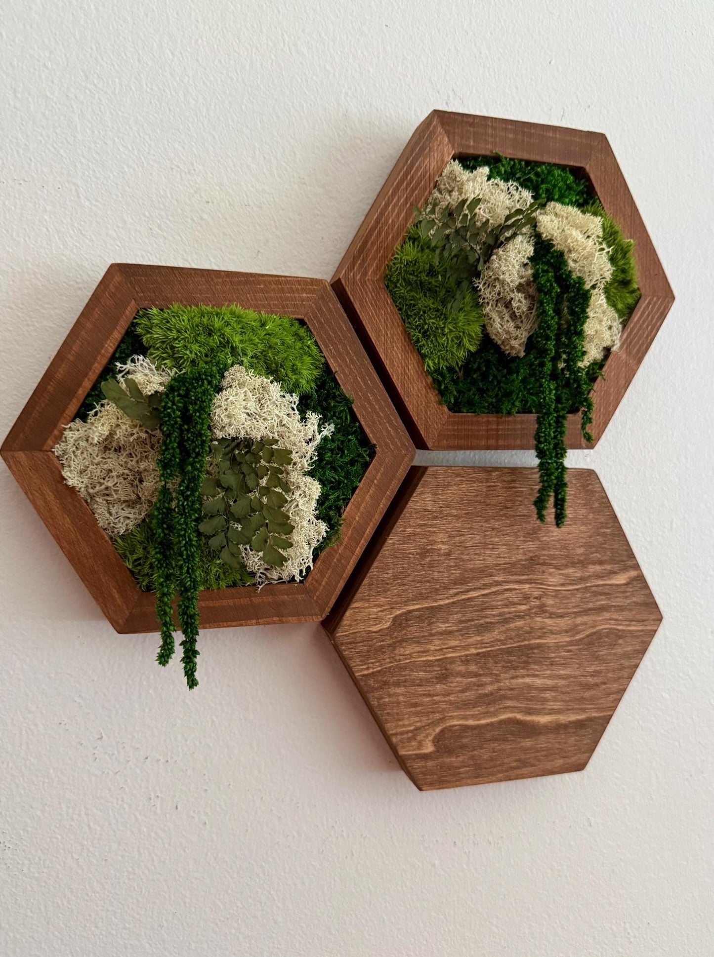 Honeycomb Moss Wall Art: Reindeer Moss & Wood Hexagon Panel | USA - TARIFF FREE