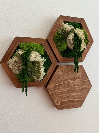 Honeycomb Moss Wall Art: Reindeer Moss & Wood Hexagon Panel | USA - TARIFF FREE