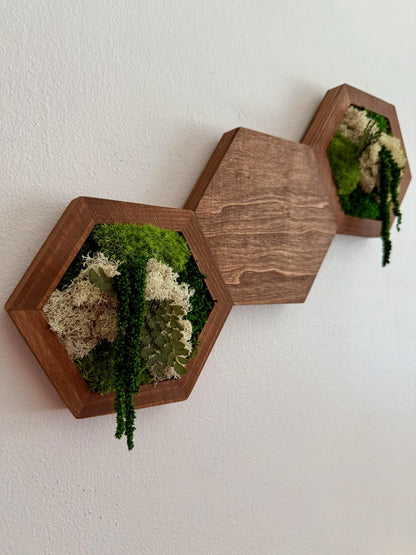 Honeycomb Moss Wall Art: Reindeer Moss & Wood Hexagon Panel | USA - TARIFF FREE