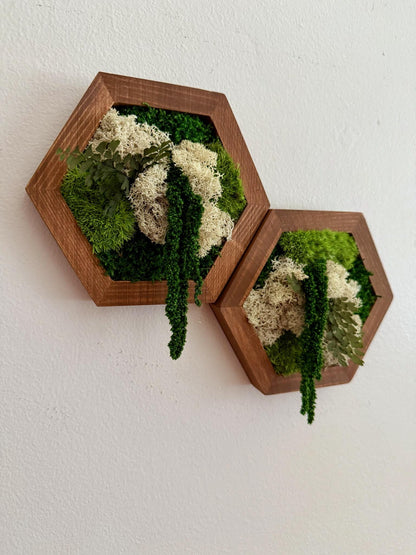 Honeycomb Moss Wall Art: Reindeer Moss & Wood Hexagon Panel | USA - TARIFF FREE