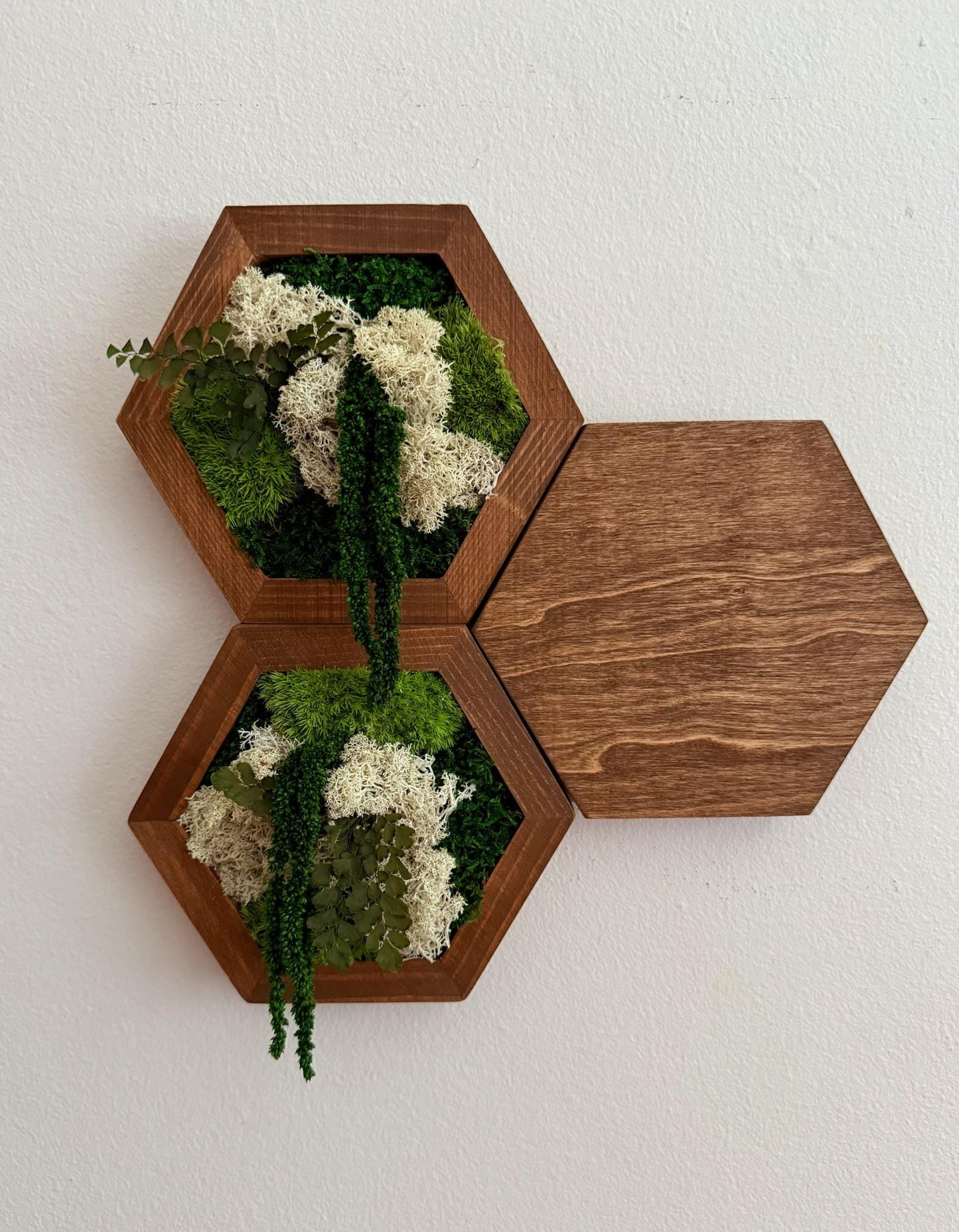 Honeycomb Moss Wall Art: Reindeer Moss & Wood Hexagon Panel | USA - TARIFF FREE