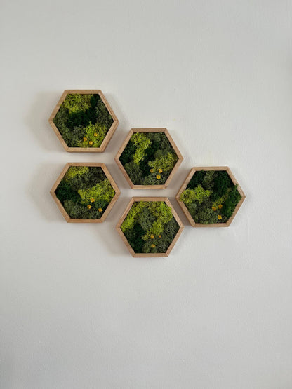 Honeycomb Moss Wall Art: Reindeer Moss & Flowers in Wood Hexagon | USA - TARIFF FREE