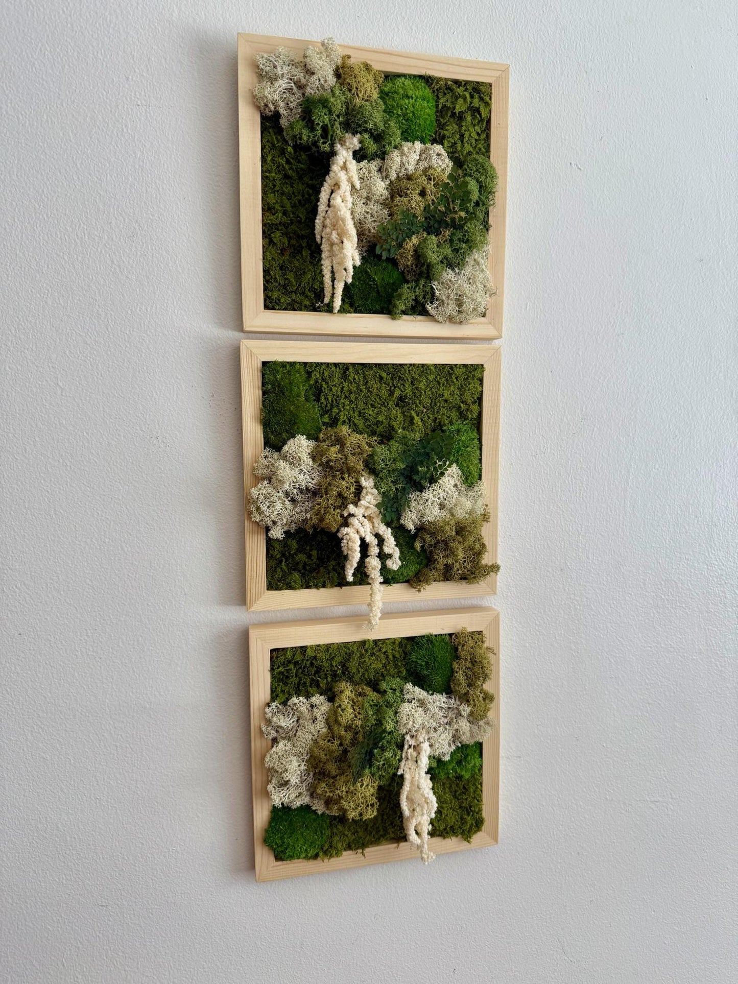 Moss Wall Art | Moss Decor | Single to Set of Six 5" x 5" or 8" x 8" | Wood Square Frame | Preserved Moss | Live Moss | Green | Mothers Day