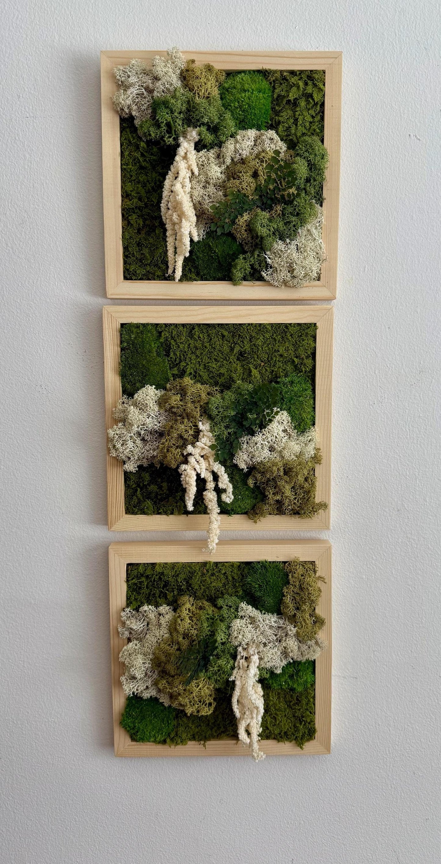 Moss Wall Art | Moss Decor | Single to Set of Six 5" x 5" or 8" x 8" | Wood Square Frame | Preserved Moss | Live Moss | Green | Mothers Day