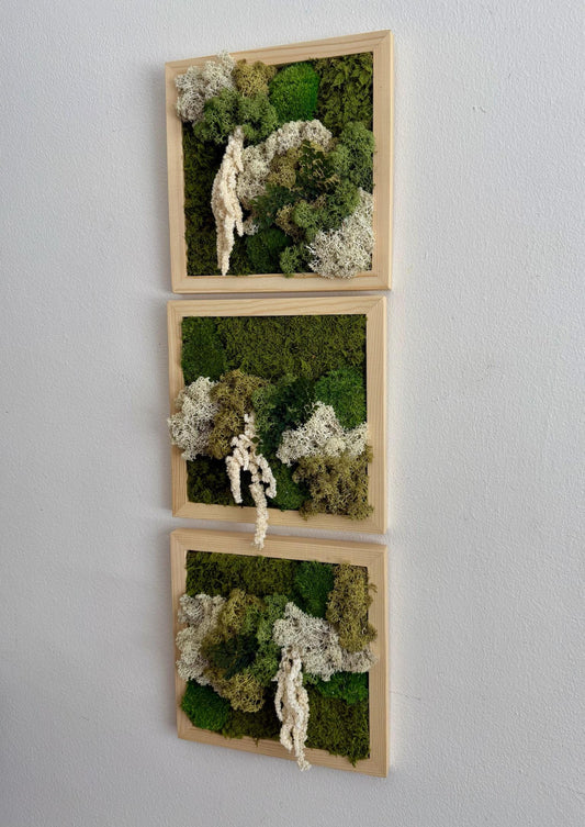 Moss Wall Art | Moss Decor | Single to Set of Six 5" x 5" or 8" x 8" | Wood Square Frame | Preserved Moss | Live Moss | Green | Mothers Day