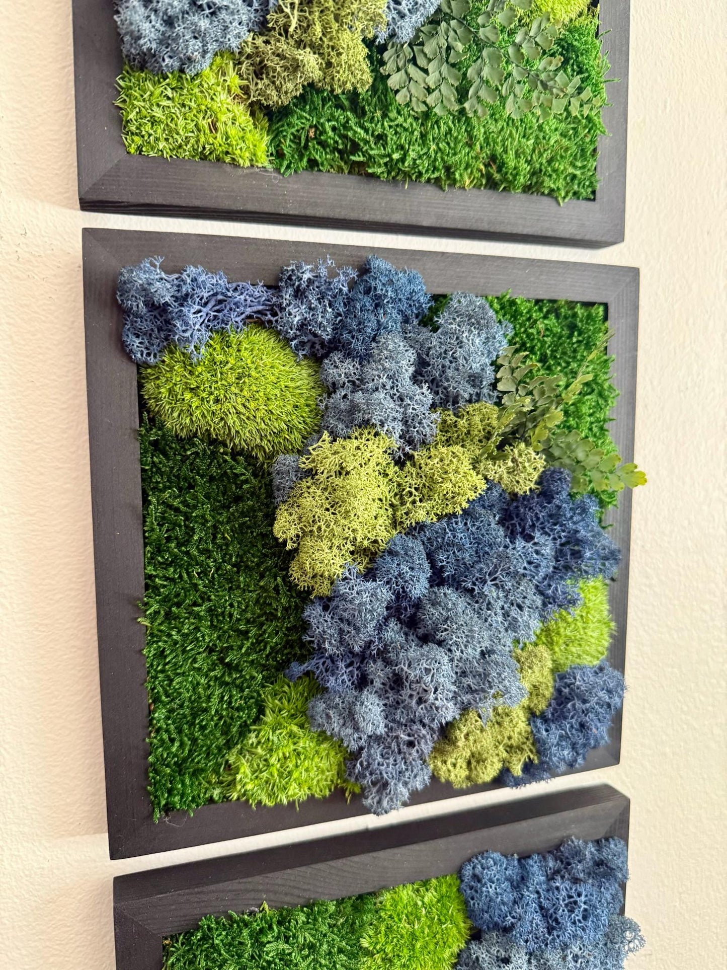 Moss Wall Art | Moss Decor | Single to Set of Six 5" x 5" or 8" x 8" | Wood Square Frame | Preserved Pole Reindeer & Sheet Moss | Mom's Day