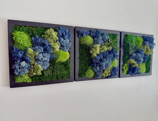 Moss Wall Art | Moss Decor | Single to Set of Six 5" x 5" or 8" x 8" | Wood Square Frame | Preserved Pole Reindeer & Sheet Moss | Mom's Day