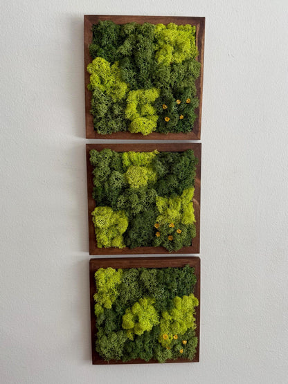 Preserved Reindeer Moss Wall Art: Wood Frame, Green Decor | USA - TARIFF FREE