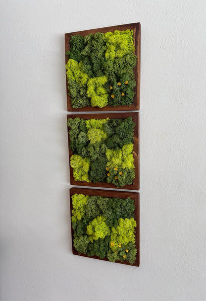 Preserved Reindeer Moss Wall Art: Wood Frame, Green Decor | USA - TARIFF FREE