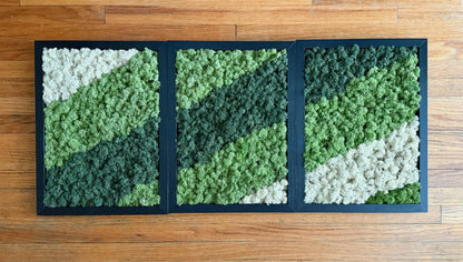 Preserved Reindeer Moss Wall Art: Rectangle Wood Frame | USA - TARIFF FREE