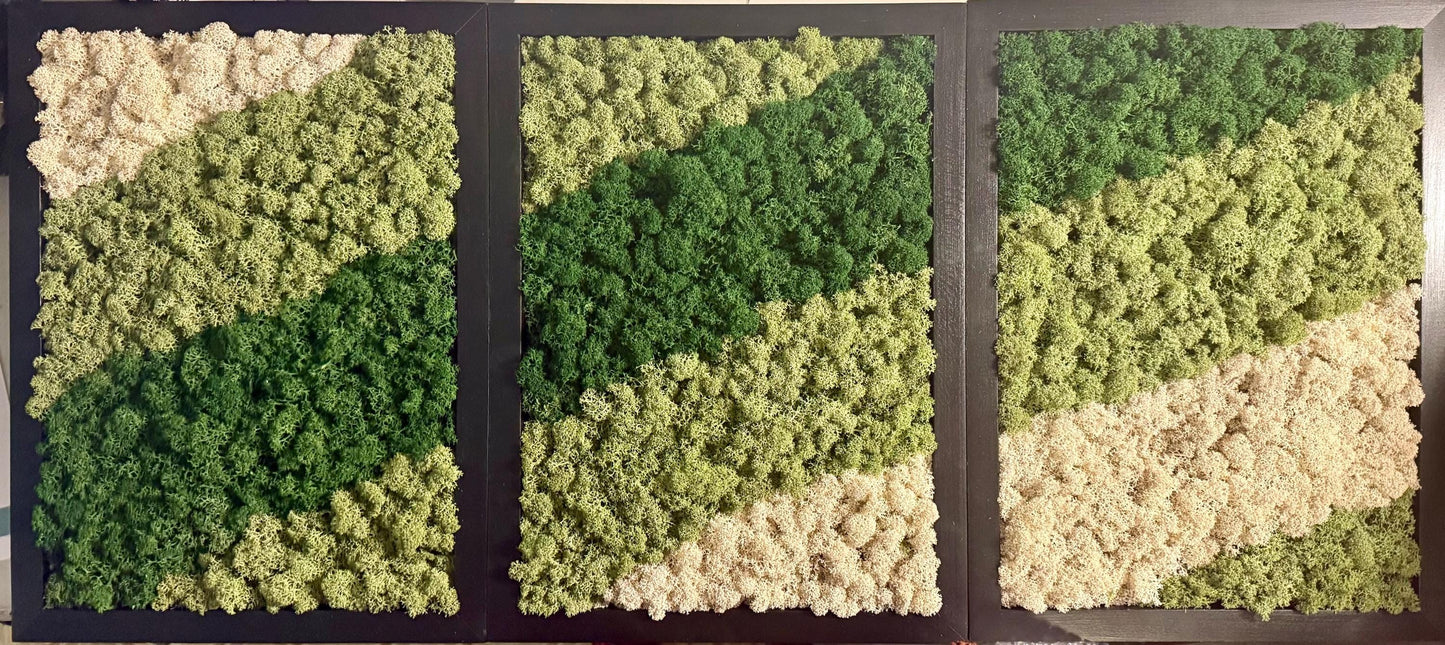 Preserved Reindeer Moss Wall Art: Rectangle Wood Frame | USA - TARIFF FREE