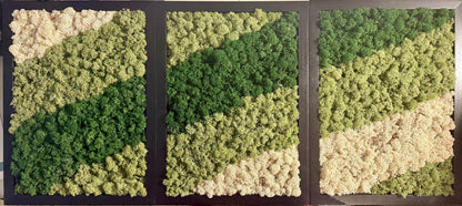 Preserved Reindeer Moss Wall Art: Rectangle Wood Frame | USA - TARIFF FREE