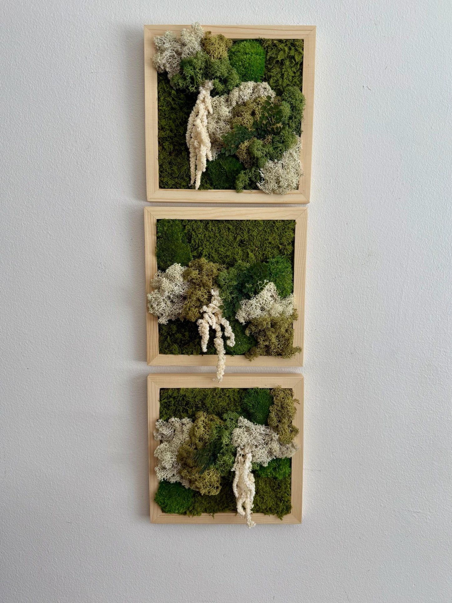 Moss Wall Art | Moss Decor | Single to Set of Six 5" x 5" or 8" x 8" | Wood Square Frame | Preserved Moss | Live Moss | Green | Mothers Day