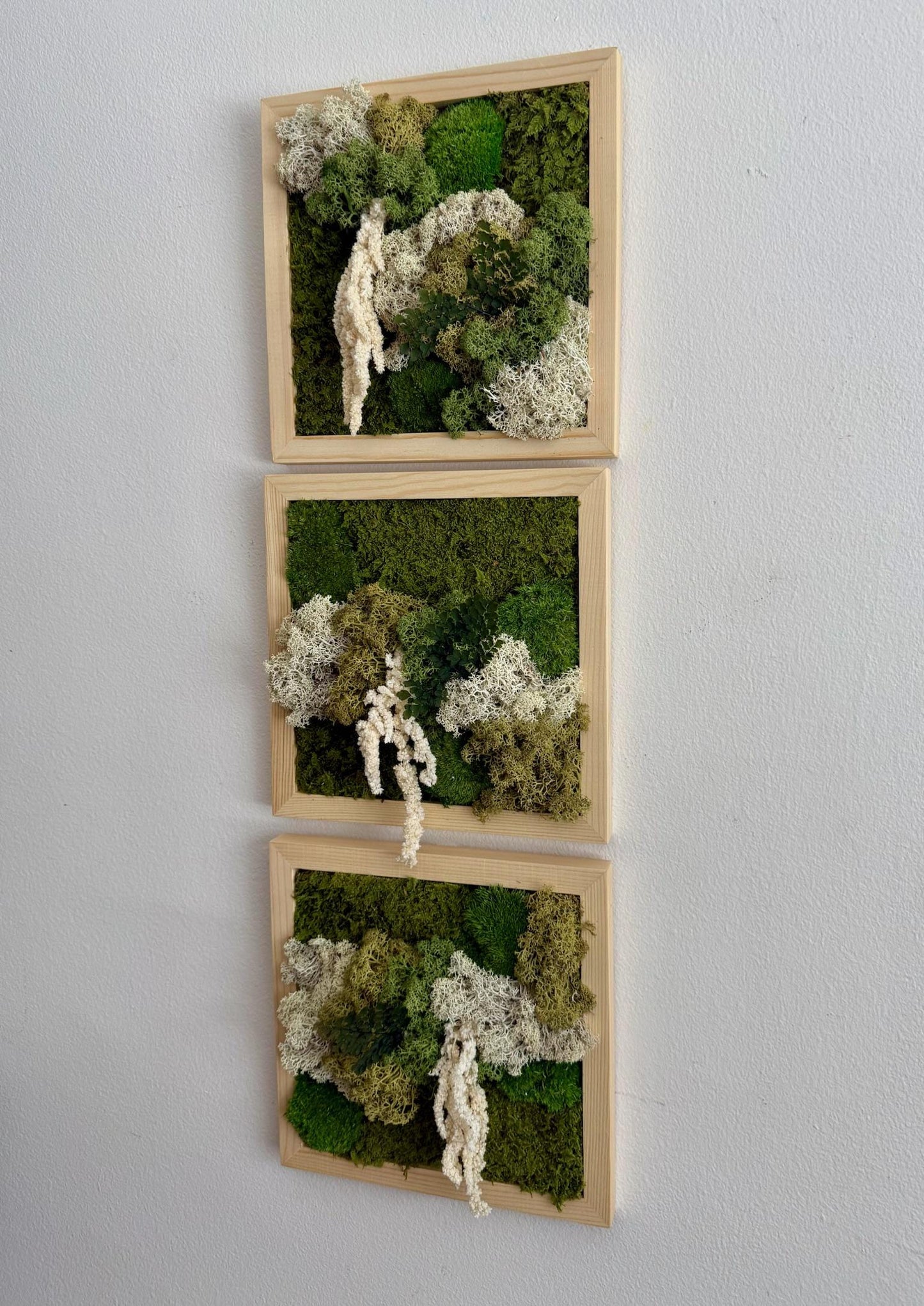 Moss Wall Art | Moss Decor | Single to Set of Six 5" x 5" or 8" x 8" | Wood Square Frame | Preserved Moss | Live Moss | Green | Mothers Day