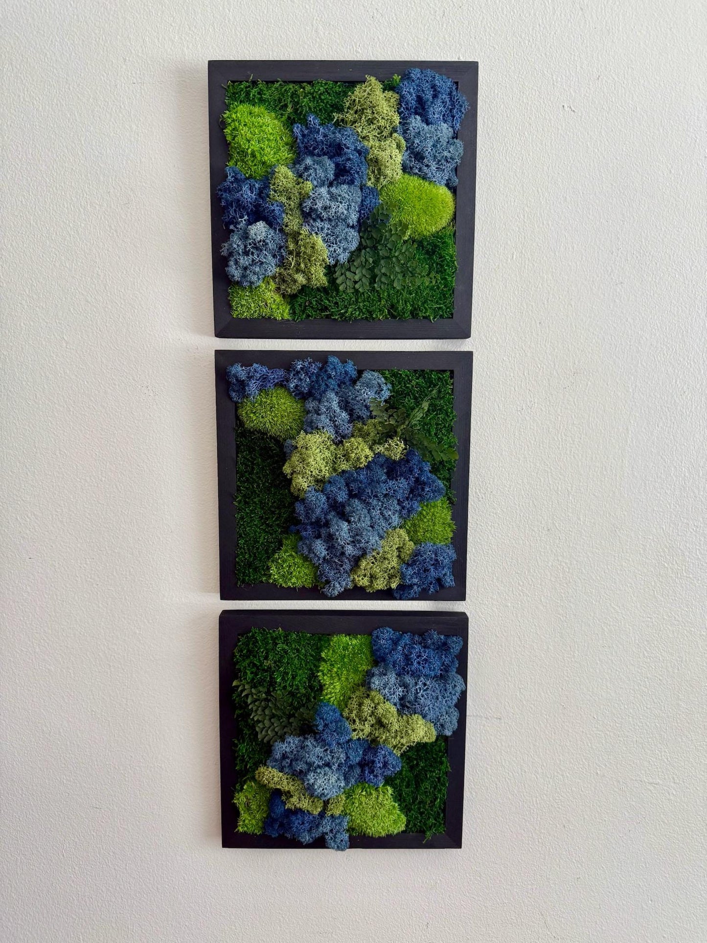 Moss Wall Art | Moss Decor | Single to Set of Six 5" x 5" or 8" x 8" | Wood Square Frame | Preserved Pole Reindeer & Sheet Moss | Mom's Day