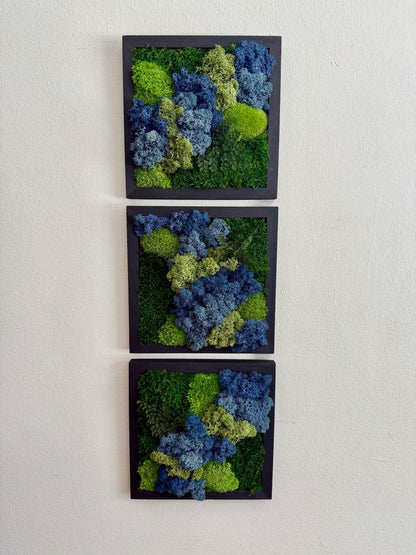 Moss Wall Art | Moss Decor | Single to Set of Six 5" x 5" or 8" x 8" | Wood Square Frame | Preserved Pole Reindeer & Sheet Moss | Mom's Day
