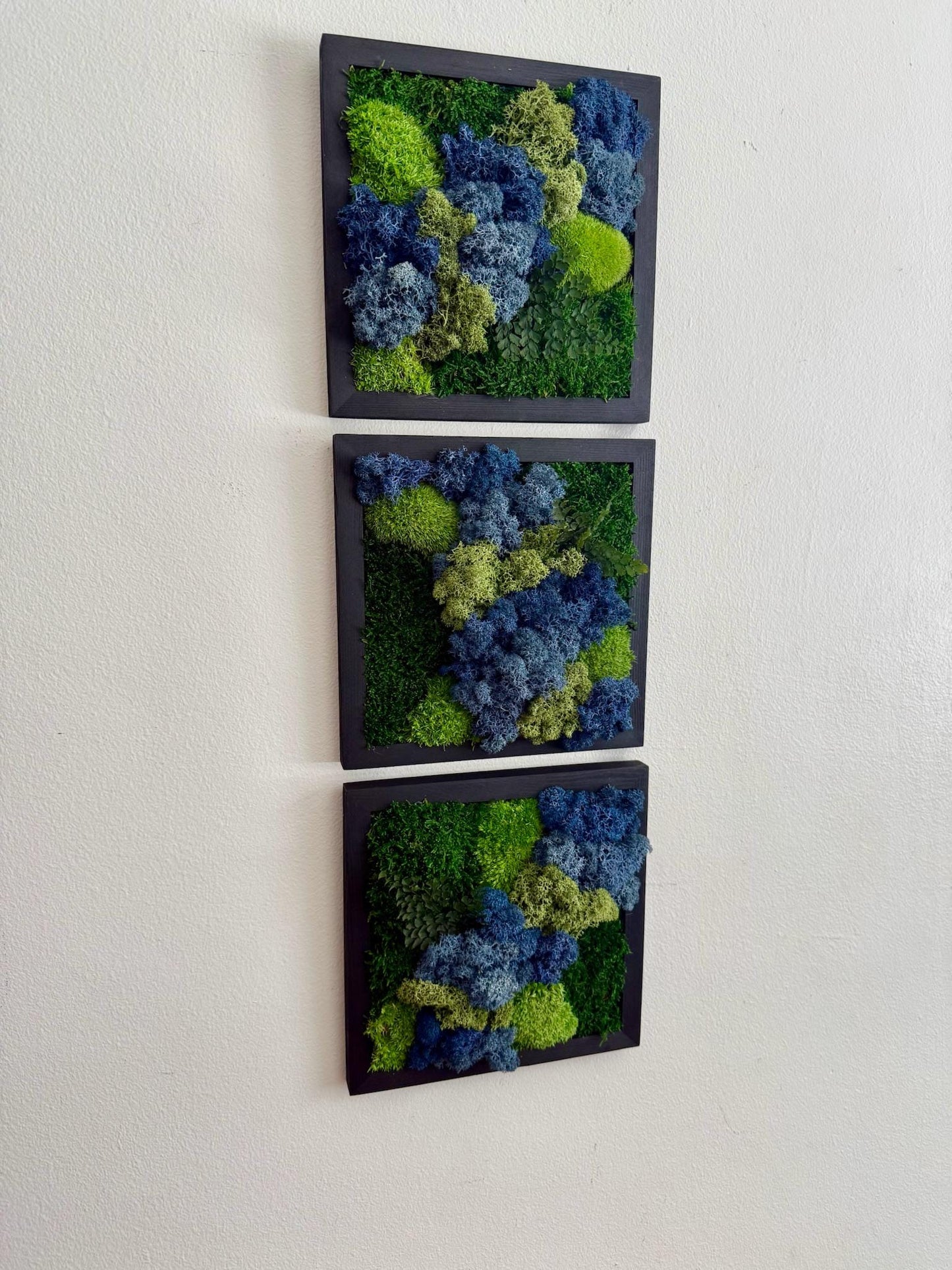 Moss Wall Art | Moss Decor | Single to Set of Six 5" x 5" or 8" x 8" | Wood Square Frame | Preserved Pole Reindeer & Sheet Moss | Mom's Day