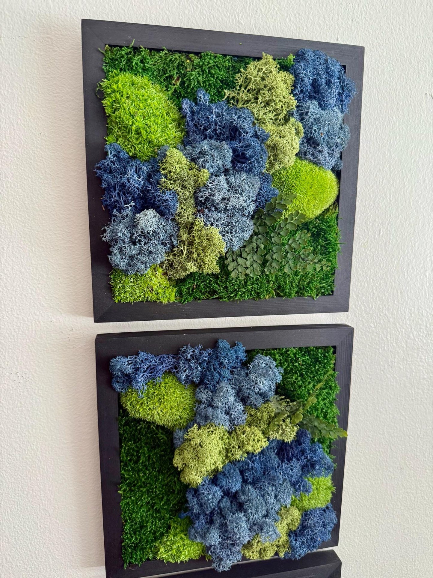 Moss Wall Art | Moss Decor | Single to Set of Six 5" x 5" or 8" x 8" | Wood Square Frame | Preserved Pole Reindeer & Sheet Moss | Mom's Day