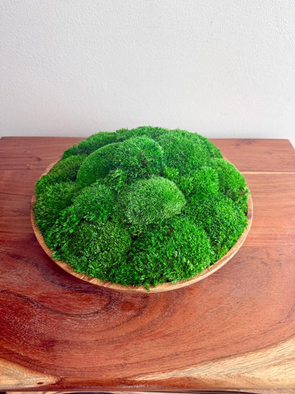 Moss Centerpiece | Pole Moss | Moss Planter | Preserved Moss Gift  | Wood Nature Circle Bowl | One of a Kind | Green Pole Moss | Gift