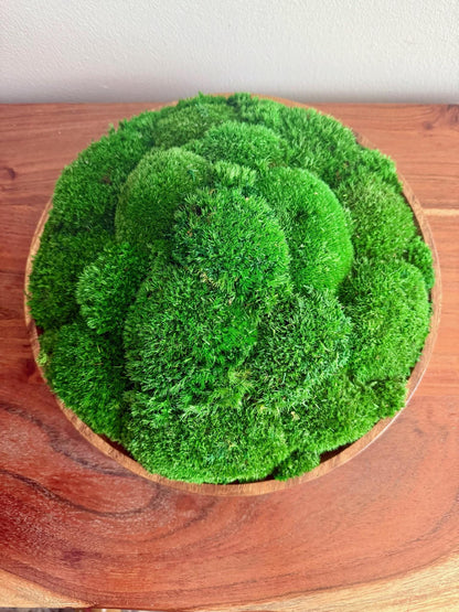 Preserved Moss Centerpiece: Wood Bowl with Reindeer Moss | USA - TARIFF FREE
