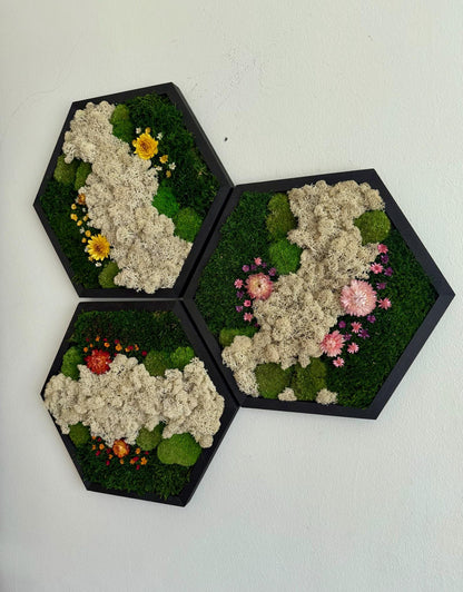 Handmade Moss Wall Art: Reindeer Moss Hexagon - Natural Home Decor | USA - TARIFF FREE