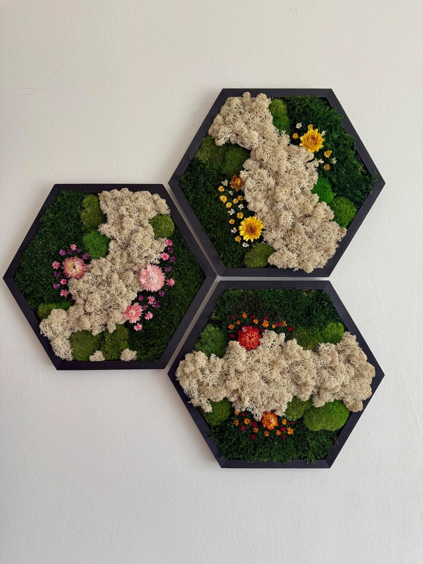 Handmade Moss Wall Art: Reindeer Moss Hexagon - Natural Home Decor | USA - TARIFF FREE