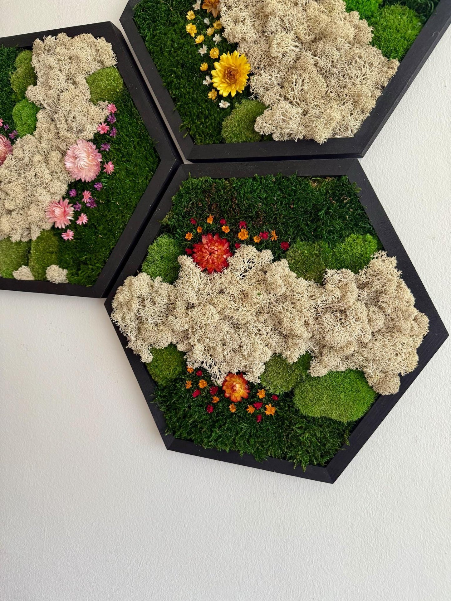 Handmade Moss Wall Art: Reindeer Moss Hexagon - Natural Home Decor | USA - TARIFF FREE