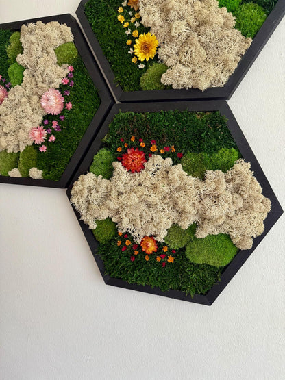 Handmade Moss Wall Art: Reindeer Moss Hexagon - Natural Home Decor | USA - TARIFF FREE