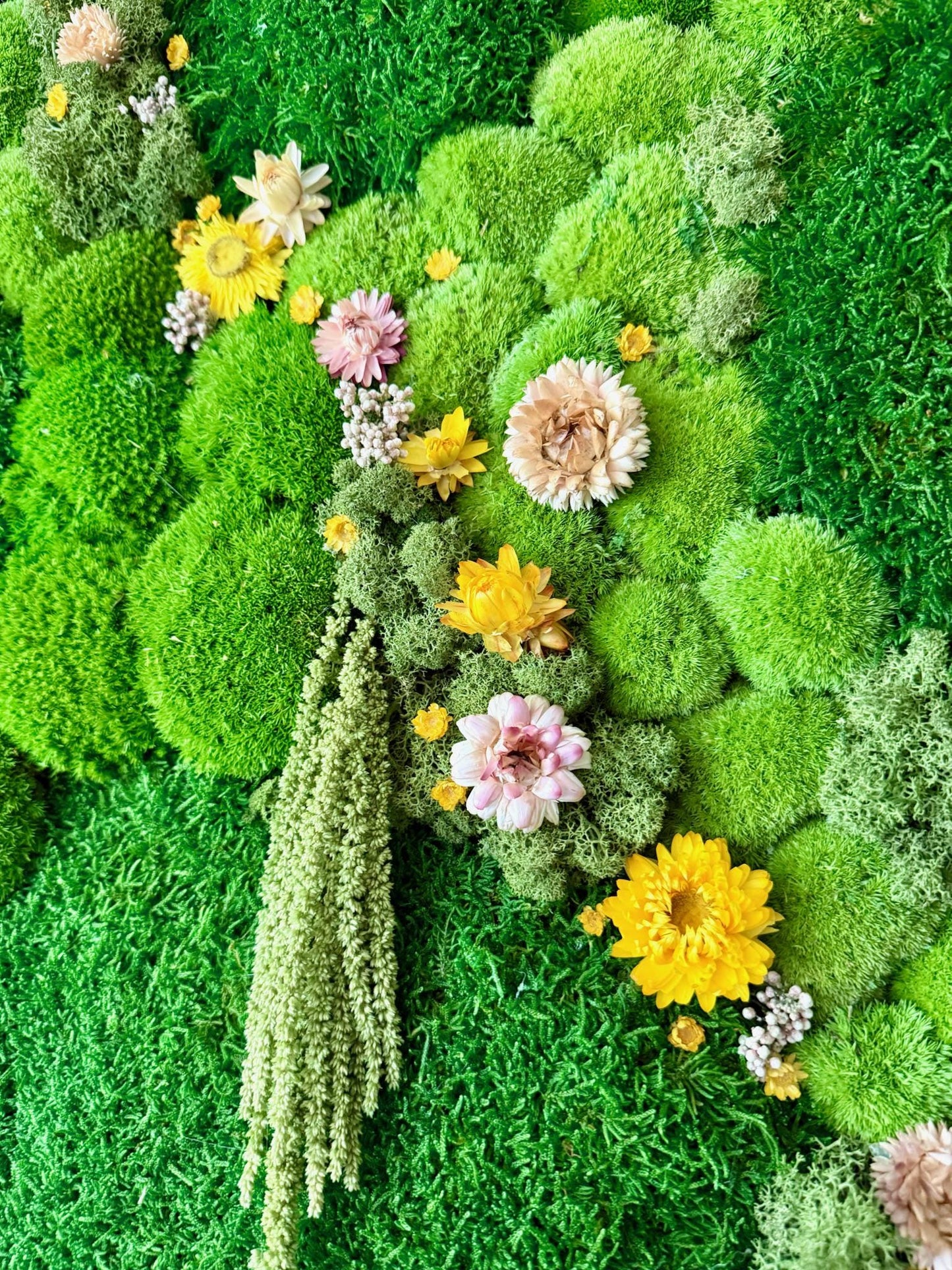 Moss Wall Art Decor | Preserved Moss Art | Wood Frame Sets | Large Square Single - Four Set | Sheet Pole Reindeer Moss Flowers | 30 “ by 30”