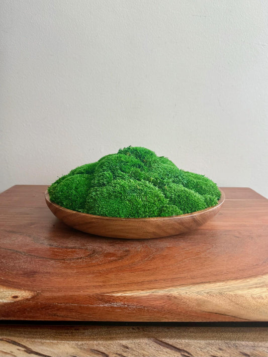 Moss Centerpiece | Pole Moss | Moss Planter | Preserved Moss Gift  | Wood Nature Circle Bowl | One of a Kind | Green Pole Moss | Gift