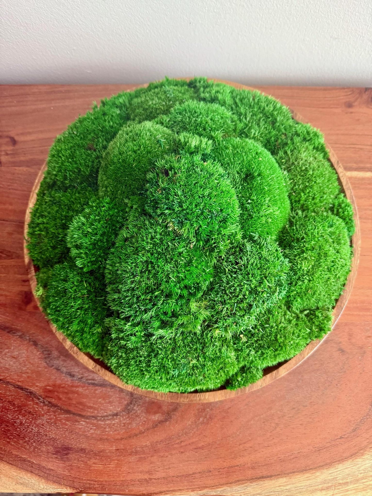 Preserved Moss Centerpiece: Wood Bowl with Reindeer Moss | USA - TARIFF FREE