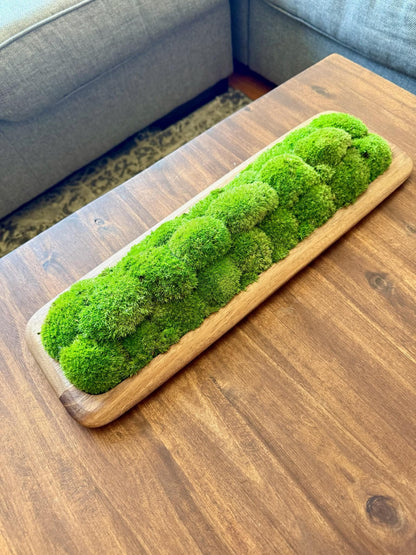 Preserved Pole Moss Centerpiece: Wood Nature Bowl, Wedding Decor | USA - TARIFF FREE