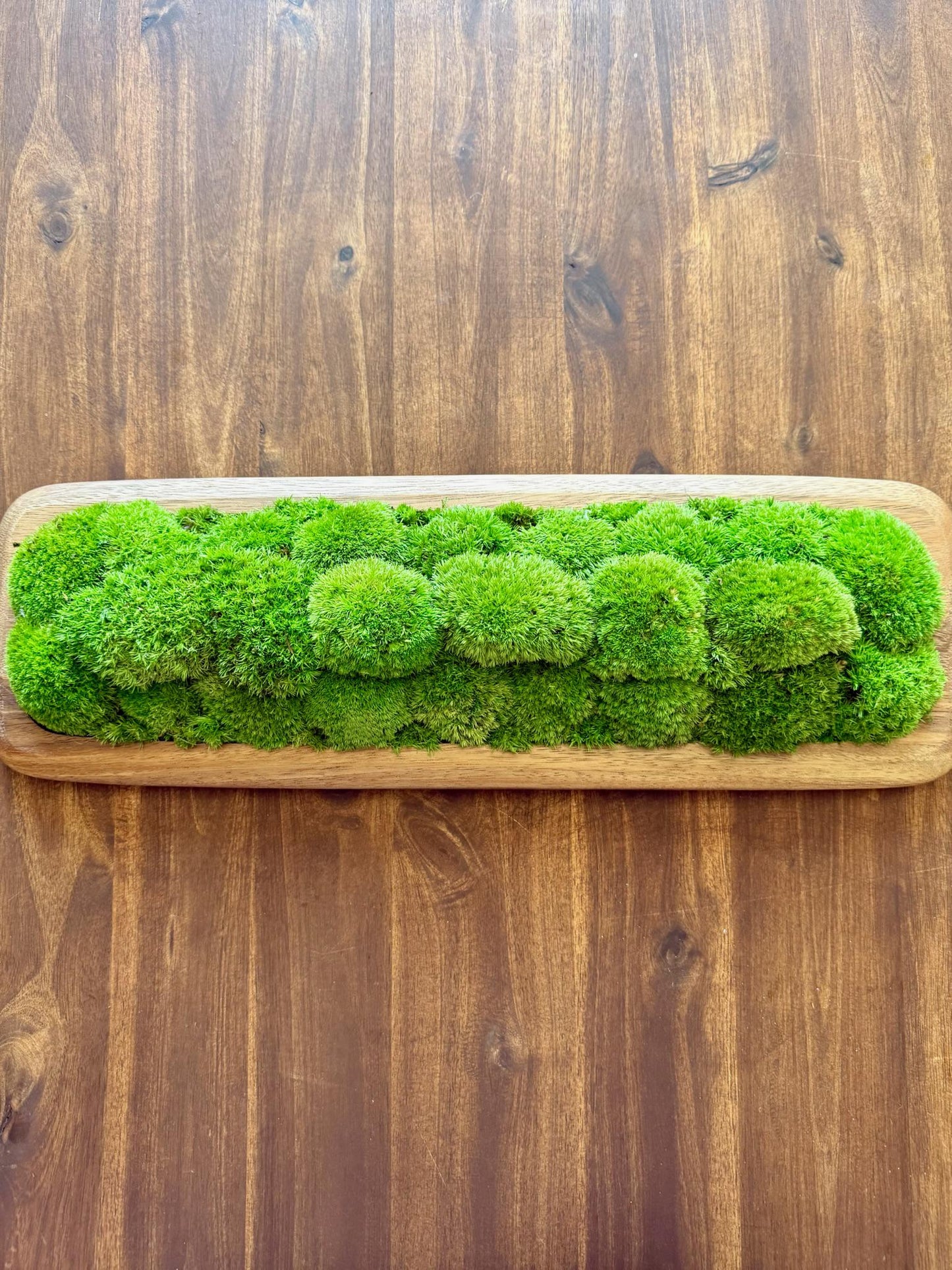 Preserved Pole Moss Centerpiece: Wood Nature Bowl, Wedding Decor | USA - TARIFF FREE