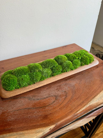 Preserved Pole Moss Centerpiece: Wood Nature Bowl, Wedding Decor | USA - TARIFF FREE