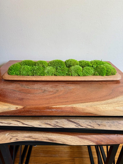 Preserved Pole Moss Centerpiece: Wood Nature Bowl, Wedding Decor | USA - TARIFF FREE