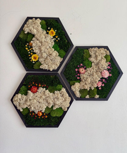 Handmade Moss Wall Art: Reindeer Moss Hexagon - Natural Home Decor | USA - TARIFF FREE