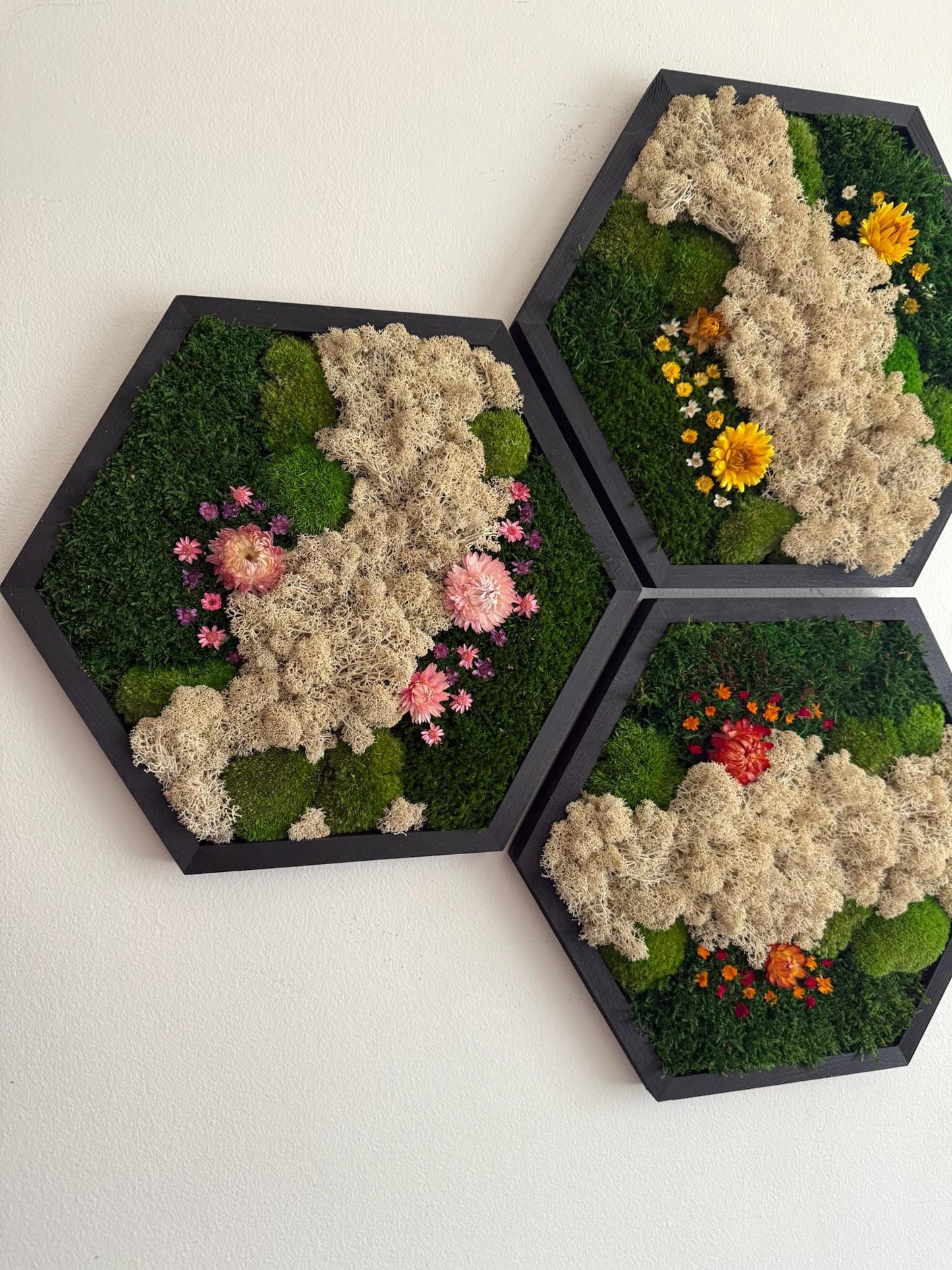 Handmade Moss Wall Art: Reindeer Moss Hexagon - Natural Home Decor | USA - TARIFF FREE