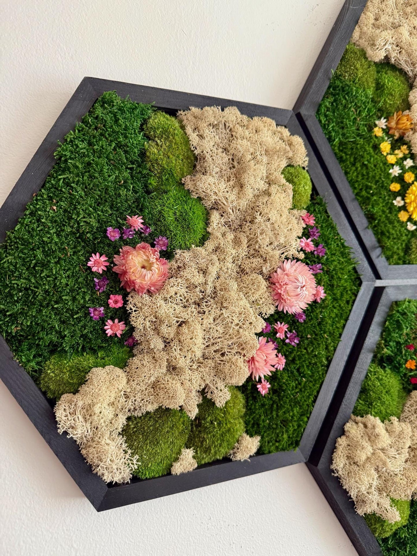 Handmade Moss Wall Art: Reindeer Moss Hexagon - Natural Home Decor | USA - TARIFF FREE