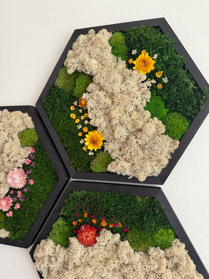 Handmade Moss Wall Art: Reindeer Moss Hexagon - Natural Home Decor | USA - TARIFF FREE