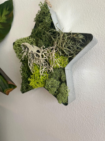 Star Moss  | Wall Art  |  Home  Decor  | Metal Star  | Green | USA - TARIFF FREE