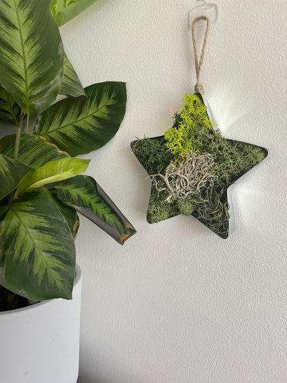 Star Moss  | Wall Art  |  Home  Decor  | Metal Star  | Green | USA - TARIFF FREE