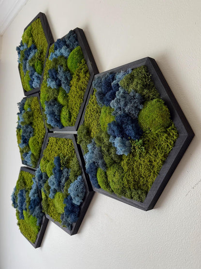 Honeycomb Moss Wall Art: Reindeer, Pole & Sheet Moss in Wood Hexagon | USA - TARIFF FREE