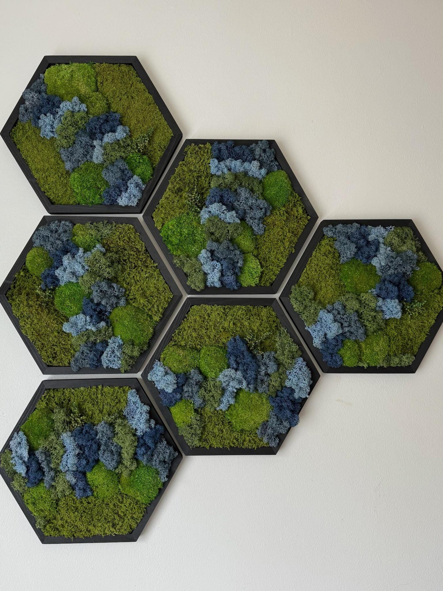 Honeycomb Moss Wall Art: Reindeer, Pole & Sheet Moss in Wood Hexagon | USA - TARIFF FREE
