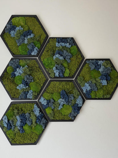Honeycomb Moss Wall Art: Reindeer, Pole & Sheet Moss in Wood Hexagon | USA - TARIFF FREE