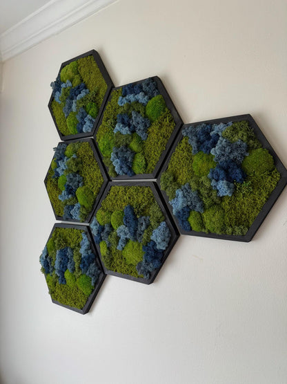 Honeycomb Moss Wall Art: Reindeer, Pole & Sheet Moss in Wood Hexagon | USA - TARIFF FREE