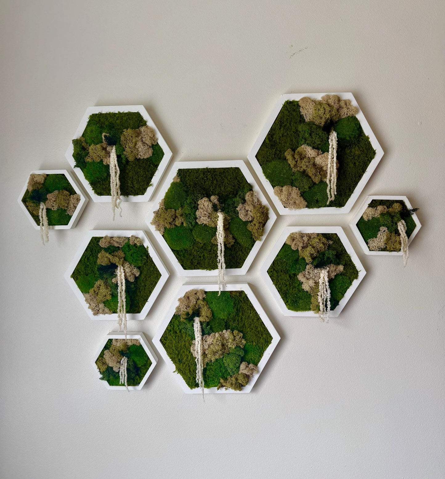 Handmade Moss Wall Art Decor: Wood Hexagon Set with Reindeer Moss | USA - TARIFF FREE