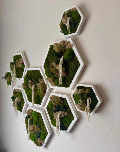 Handmade Moss Wall Art Decor: Wood Hexagon Set with Reindeer Moss | USA - TARIFF FREE