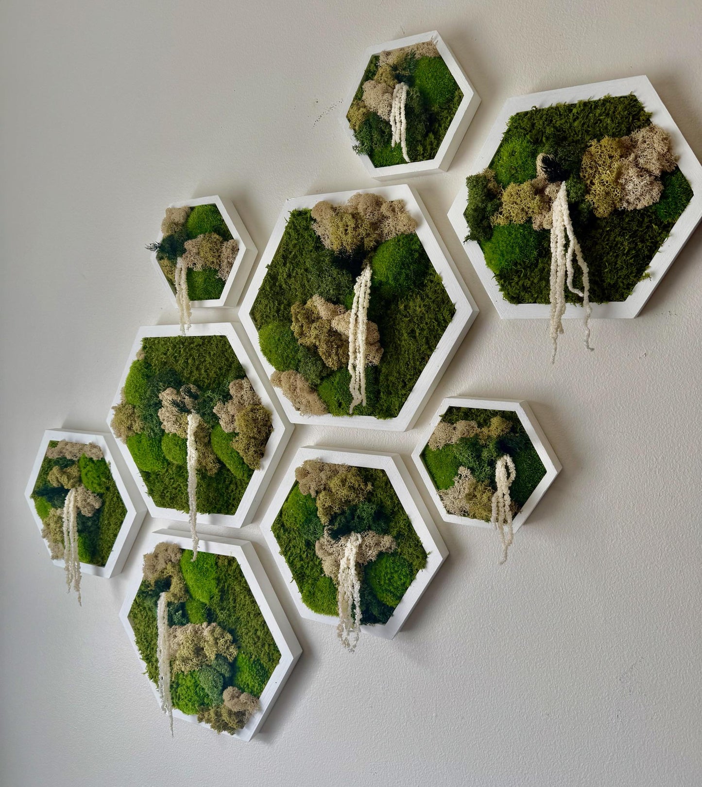 Handmade Moss Wall Art Decor: Wood Hexagon Set with Reindeer Moss | USA - TARIFF FREE